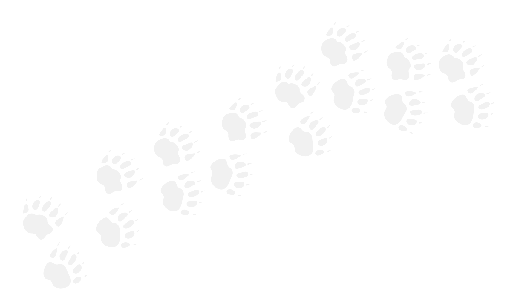 footprint.png
